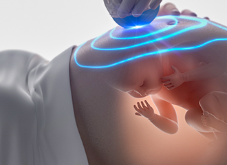 スマホで見れる 4Dエコーシステム